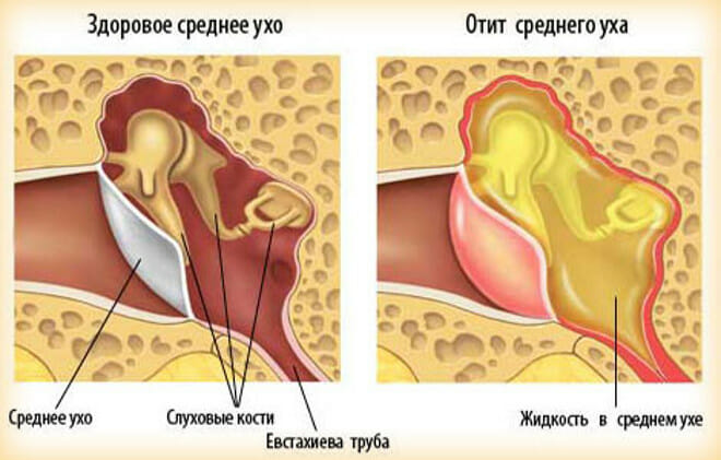 средний